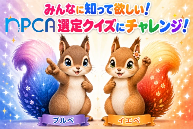 新パーソナルカラー協会　マスコット　カラリス　ブルベちゃん　イエベちゃん